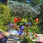 Oda ve Kahvaltı Bienvenue Chez Lilaroma 3*